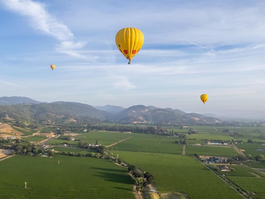 From Yountville Napa Valley Sunrise Hot Air Balloon Flight GetYourGuide