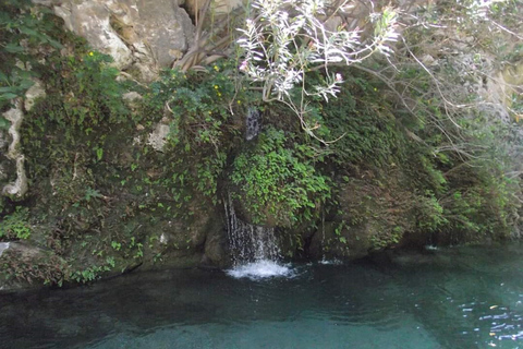 Von Rethymno aus: Fluss-Trekking in der Kourtaliotiko-SchluchtTreffpunkt