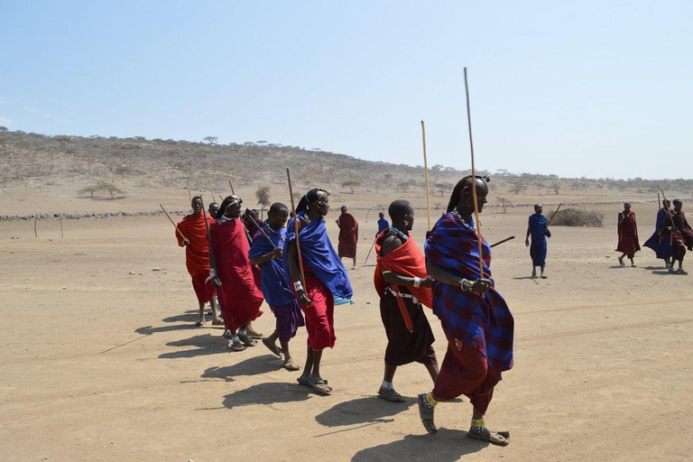 EXCURSION D&#039;UNE JOURNÉE DANS UN VILLAGE MASAI