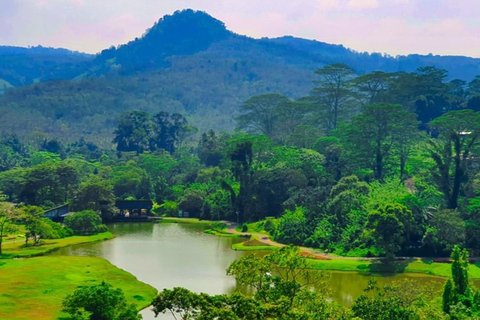 Tour guiado particular de 1 dia de bicicleta por trilhas até as Cataratas