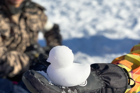 Busan : excursion d&#039;une journée à la station Eden Valley Resort pour faire du ski, du snowboard et de la lugeForfait complet SLED - Rendez-vous à la gare KTX de Busan