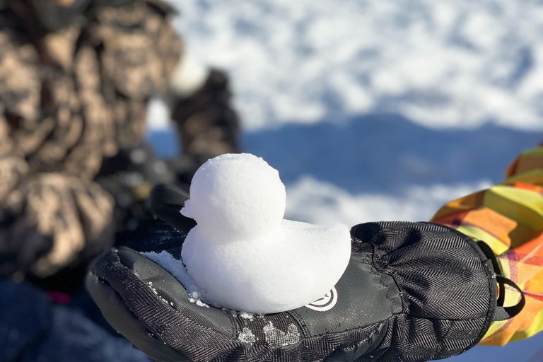 Busan : excursion d&#039;une journée à la station Eden Valley Resort pour faire du ski, du snowboard et de la lugeForfait complet SLED - Rendez-vous à la gare KTX de Busan