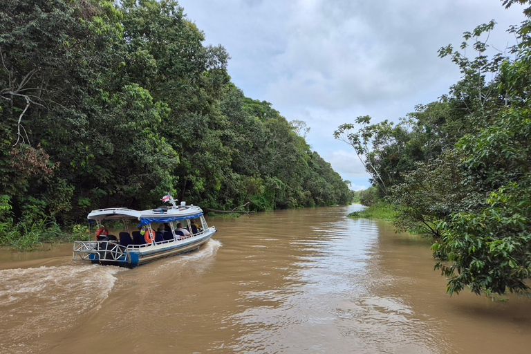 Manaus: Private Amazon Sunset and Night Tour by Speedboat