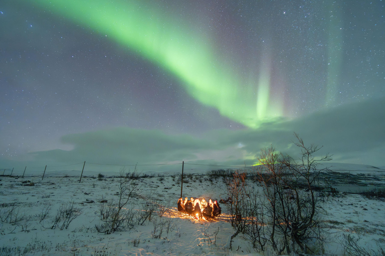 Tromsø: Northern Lights Hunt with Photos and Hot Food