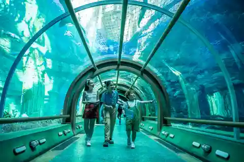 Ha Noi: VinKE y Vinpearl Aquarium Ticket de entrada