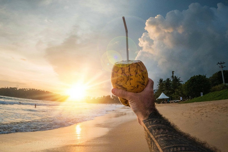 De Colombo: Excursão de 10 dias ao Sri Lanka com guia e hotel