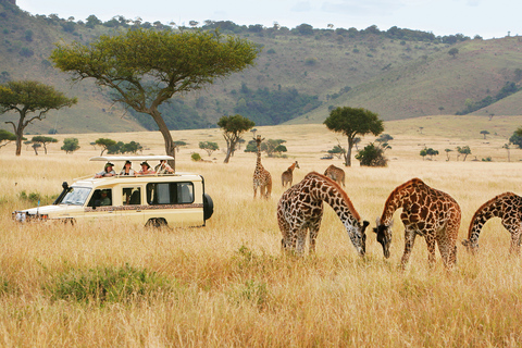 Nairobi National park group joining game drive tour.