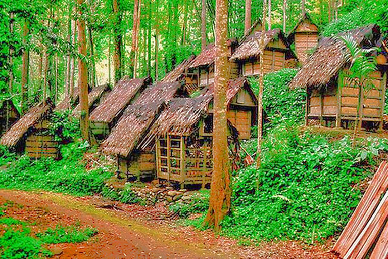 Jakarta : Tour privato del villaggio di Baduy Guida che parla in arabo