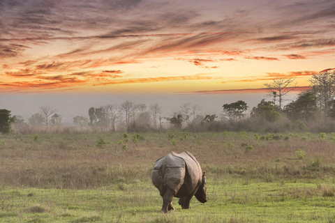 Chitwan: 2 Nights 3 Days Hotel and Ethical Jungle Safari