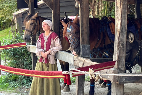 From Paris: Provins Medieval Town Day Trip