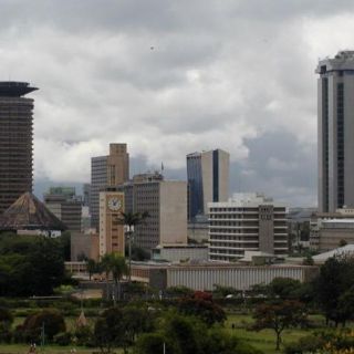 Visita guidata di orientamento della città di Nairobi con pranzo a Carnivore