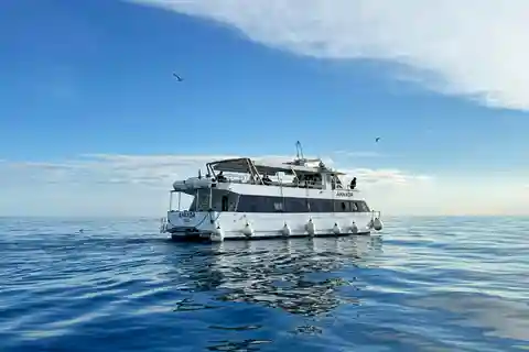 Desde Pula: Crucero por Rovinj y el PN Brijuni con visita a la Isla Roja