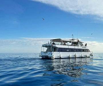From Pula: Half-day NP Brijuni cruise with Lunch & Swimming
