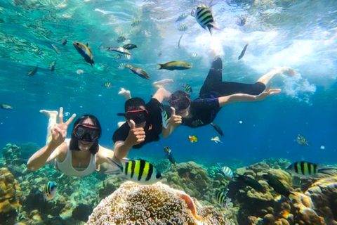 Snorkeling exclusif avec GoPro : Gili Trawangan AdventuresExcursion privée de 4 heures de plongée en apnée avec GoPro