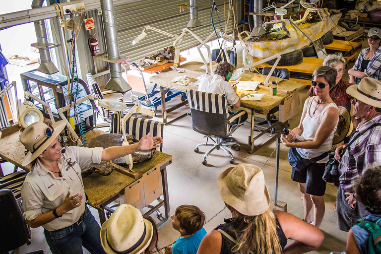 Winton : visite d&#039;une demi-journée au musée Age of Dinosaurs