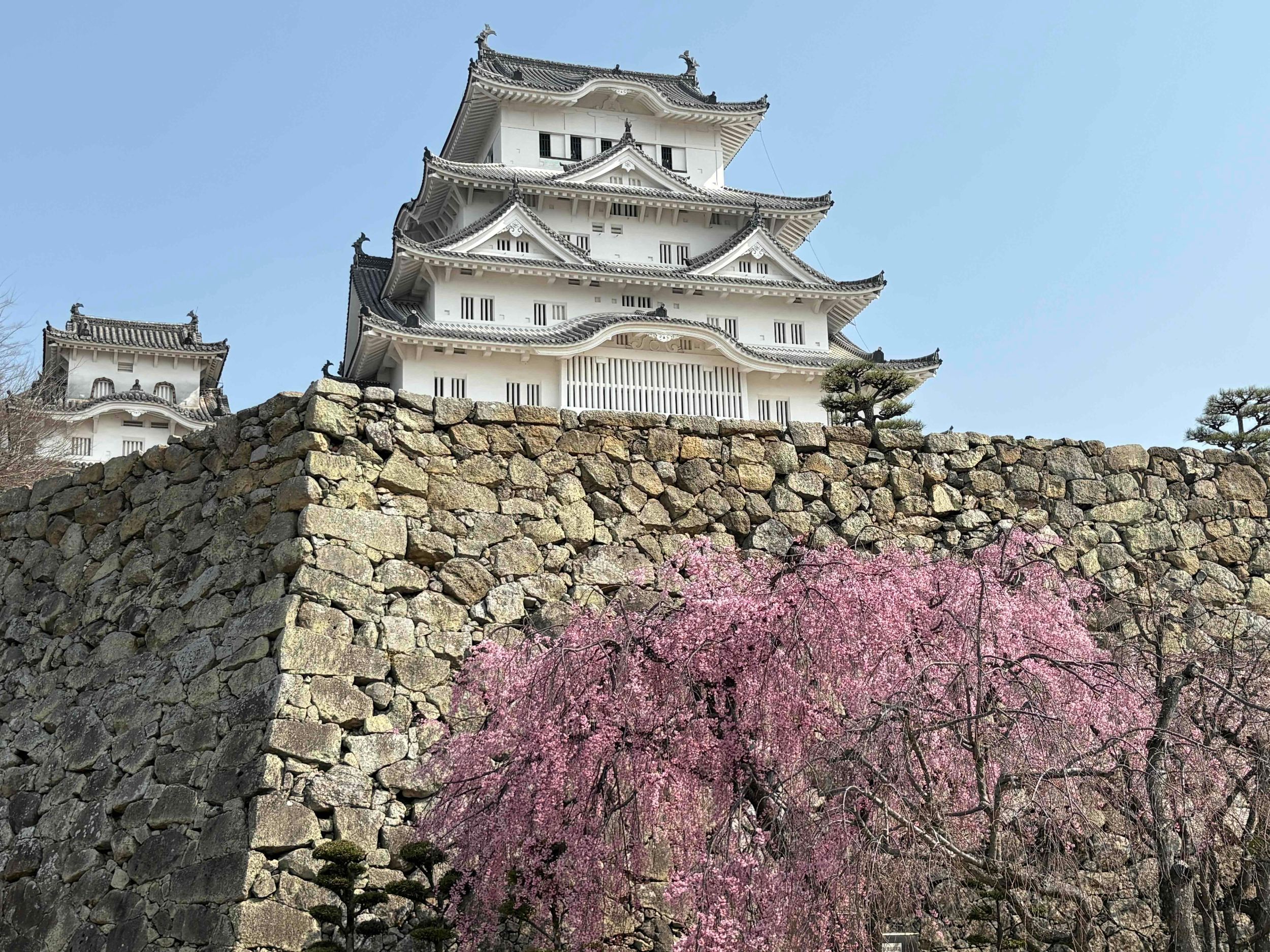 Tour durch die Burg Himeji: Entdecke die Festungsbäume und die vier wichtigsten Säulen