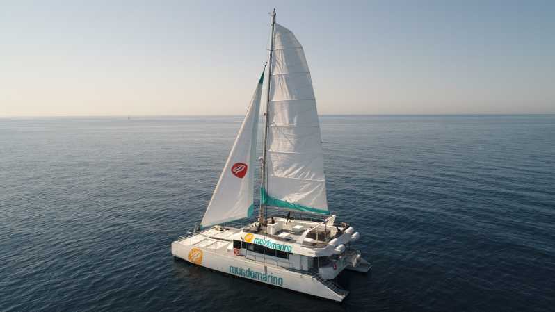 Malaga: tour in catamarano con opzione tramonto