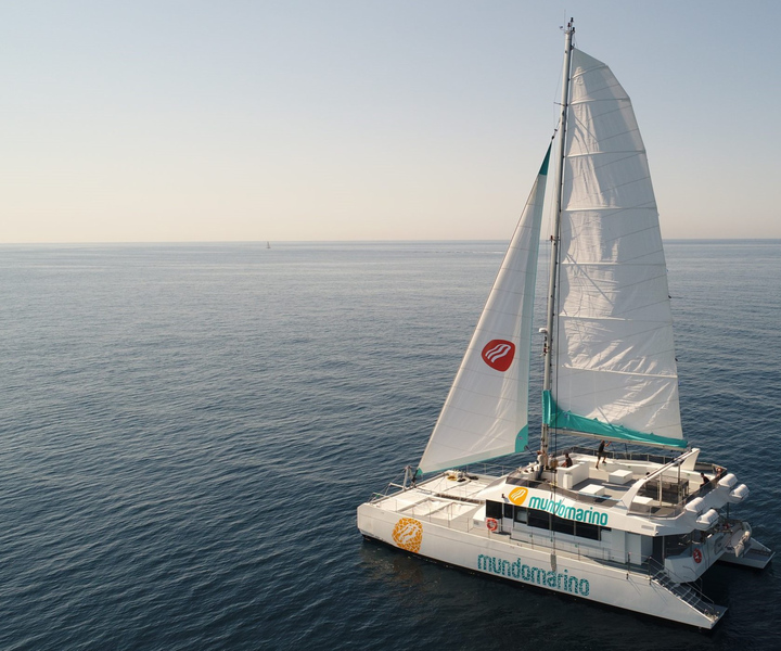Málaga: tour en catamarán de vela con atardecer opcional