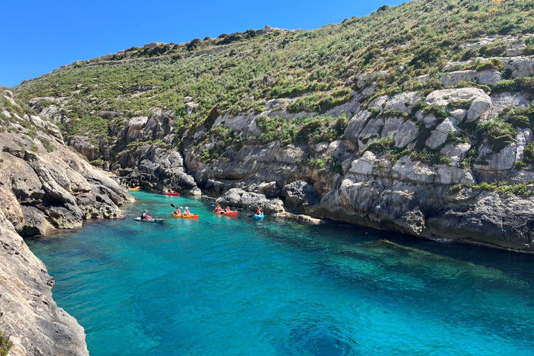 Gozo Kayak Tours