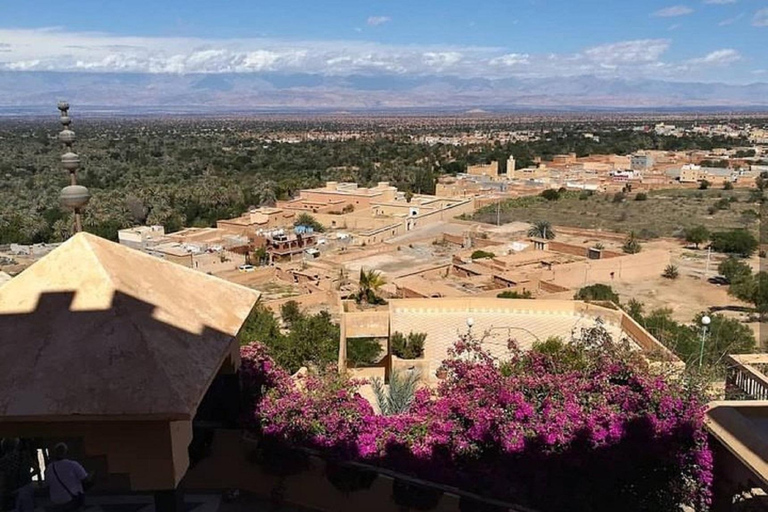 From Agadir: Taroudant and Tiout Day Tour with Lunch