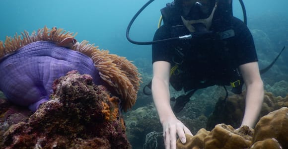 Phu Quoc: Marine Conservation & Scuba Diving Tour