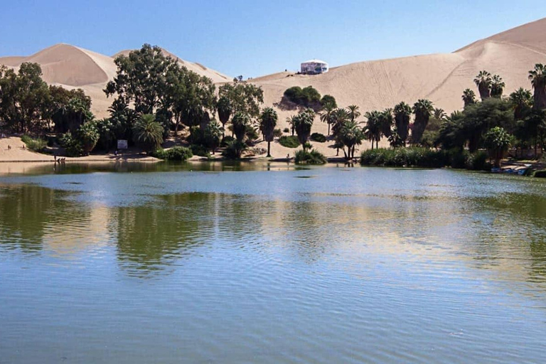 Da Lima: escursione di un giorno con sandboarding e degustazione di vini a Huacachina