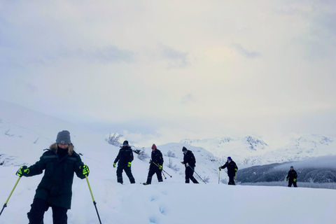 Guided Snowshoeing Adventure from Seward, Alaska 6-Hour Tour