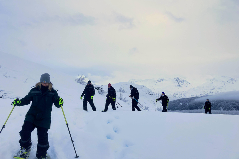 Guided Snowshoeing Adventure from Seward, Alaska 6-Hour Tour