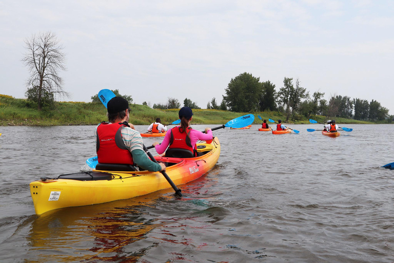 Montreal: Kayak Excursion in the Hochelaga Archipelago Montreal: Kayak Day Trip in the Hochelaga Archipelago