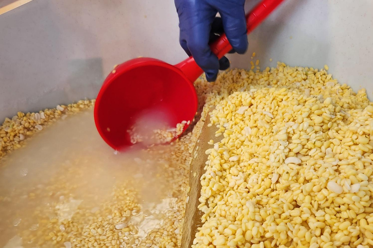 Seul: tour gastronómico pelo mercado noturno com churrasco coreano e casa de chá