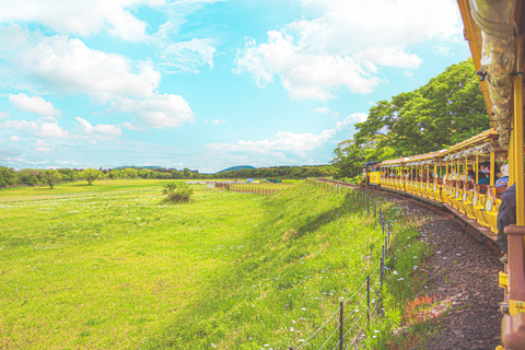 Jeju: Eco Land Theme Park Entry Ticket with Add-Ons Eco Land Theme Park + Aroma Foot Bath & Tea