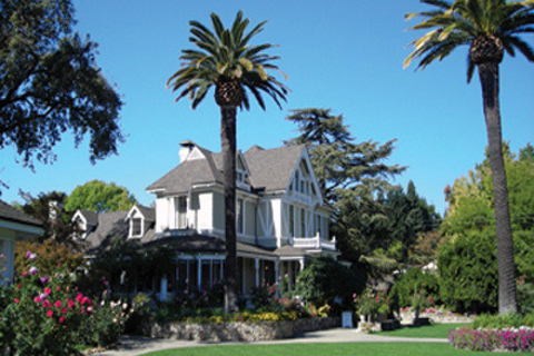 San Francisco: Half-Day Wine Country Tour with Wine Tastings