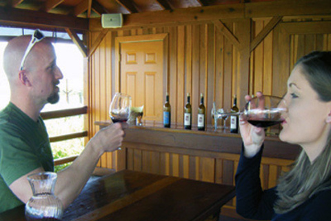 San Francisco: Half-Day Wine Country Tour with Wine Tastings