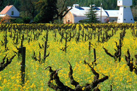 San Francisco: Half-Day Wine Country Tour with Wine Tastings