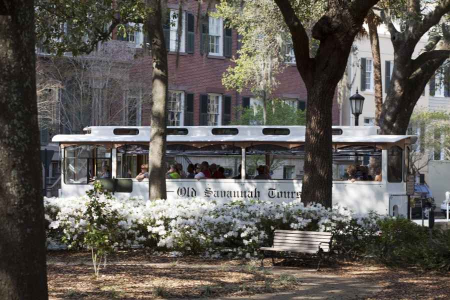 Savannah: Historische Sightseeingtour per Trolleybus. Foto: GetYourGuide
