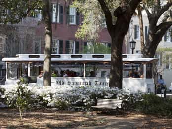 Historisches Savannah: Trolleybus-Tour Historisches Savannah: Trolleybus-Tour