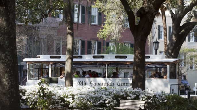 historic savannah trolley tour overview