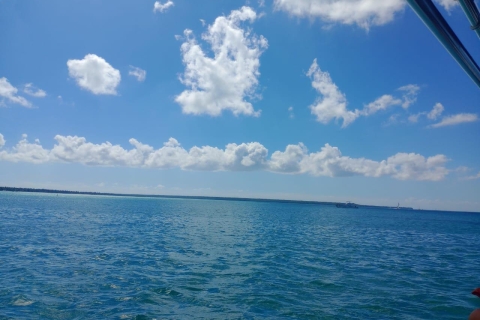 Isla Saona: Excursión con catamarán y lancha rápidaIsla Saona: destaca el viaje en catamarán y lancha rápida