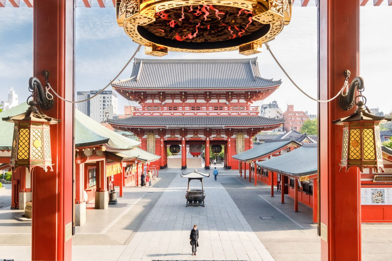 Tokyo City Must See Highlights Full Adjustable Itinerary