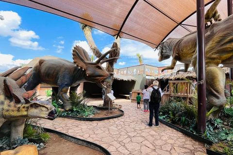 TOUR: "Dinosaur museum" with guide, transfer and tickets Monterrey: Desert Museum Tour