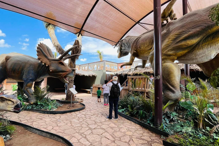 TOUR: "Dinosaur museum" with guide, transfer and tickets Monterrey: Desert Museum Tour