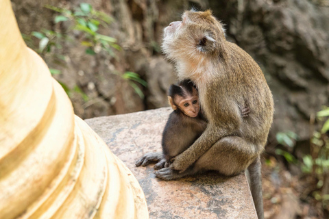 Krabi : excursion sur l&#039;île de James Bond et à Phang Nga en bateau à longue queueTour en bateau à longue queue dans la baie de Phang Nga