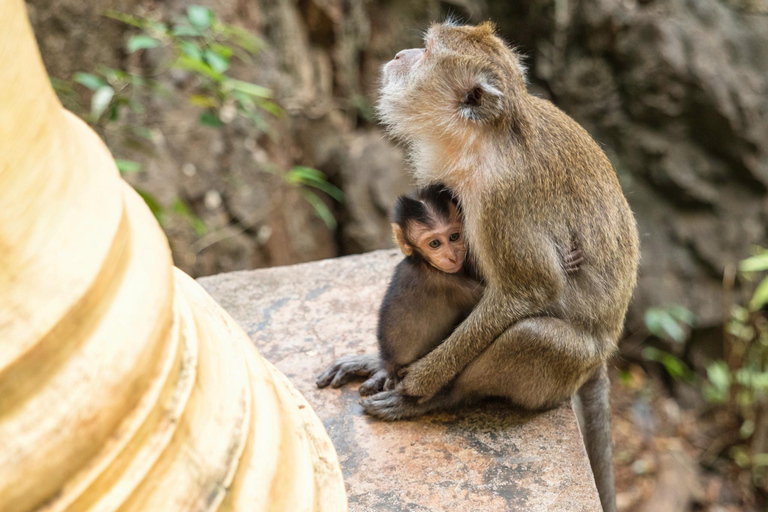 Krabi : excursion sur l&#039;île de James Bond et à Phang Nga en bateau à longue queueTour en bateau à longue queue dans la baie de Phang Nga