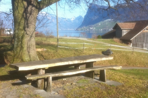 Luzern-wandeling van een halve dag door het meer van LuzernStandaard optie