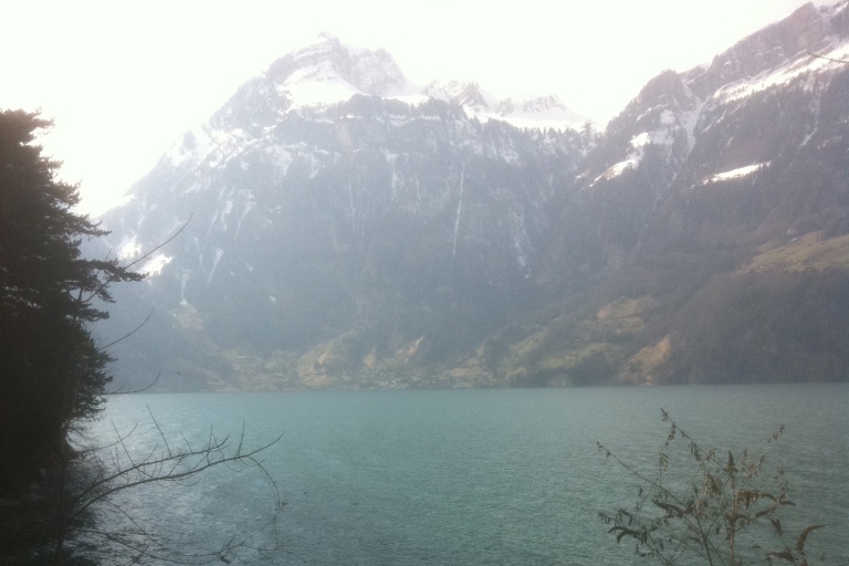 Excursion d'une journée à la randonnée et à la croisière en bateau sur le chemin suisse William TellRandonnée d'une journée sur le chemin suisse Guillaume Tell et croisière en bateau