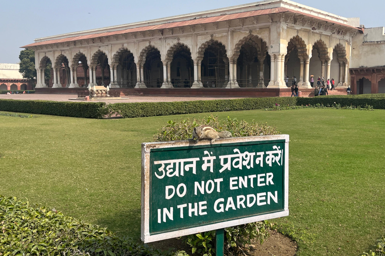 Excursión de un día a Agra desde Delhi: Explora el Patrimonio - Cena y Compra