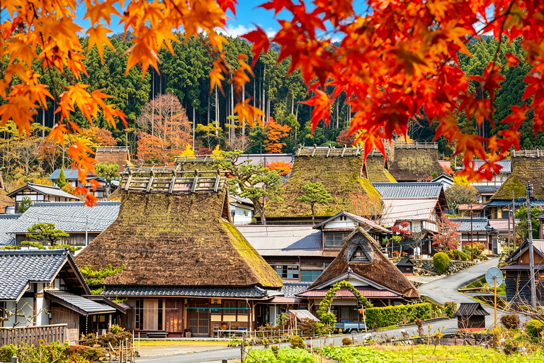 Osaka: Amanohashidate, Ine Cruise & Miyama Village From Osaka (Basic Package)