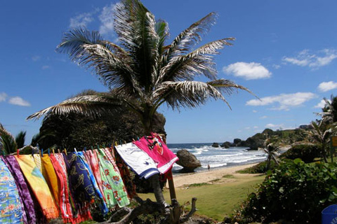 Barbados Bajan Paradise Full-Day Excursion