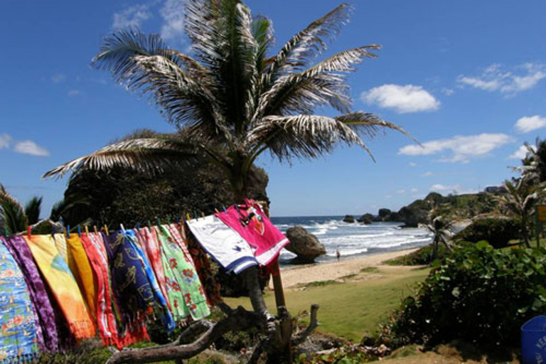 Barbados Bajan Paradise Full-Day Excursion