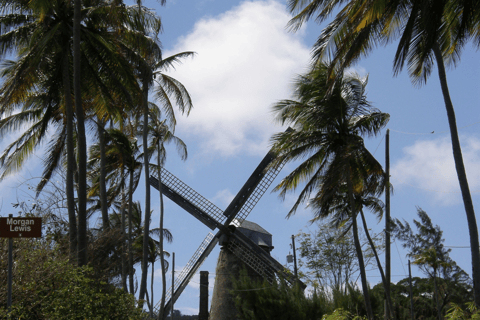 Barbados Bajan Paradise Full-Day Excursion